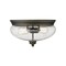 Z-Lite Amon 2 Light Flush Mount, Olde Bronze And Clear Seedy 722F2-OB - alternate 4